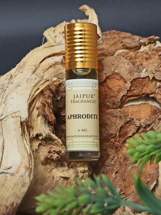 https://cdn.shopify.com/s/files/1/1857/6931/files/ibQe2ao31K.jpg?v=1784614584