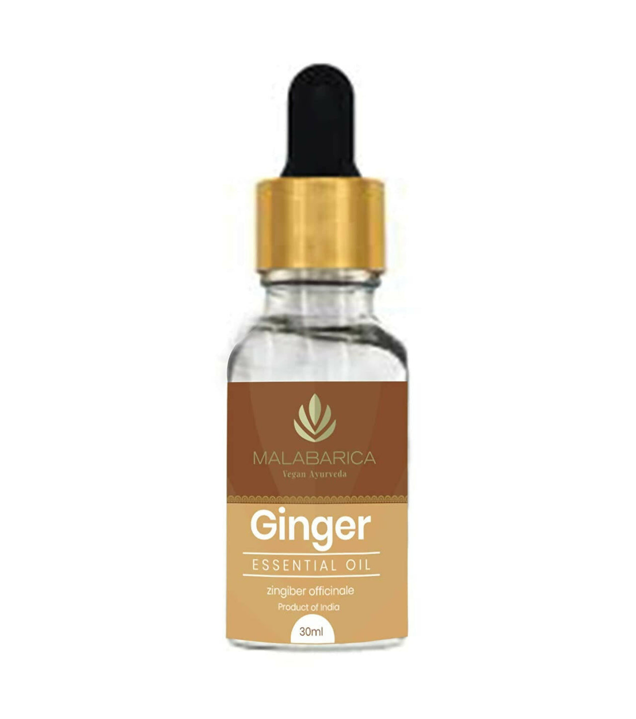 https://cdn.shopify.com/s/files/1/1857/6931/products/iftGSbzbOb.jpg?v=1667813674