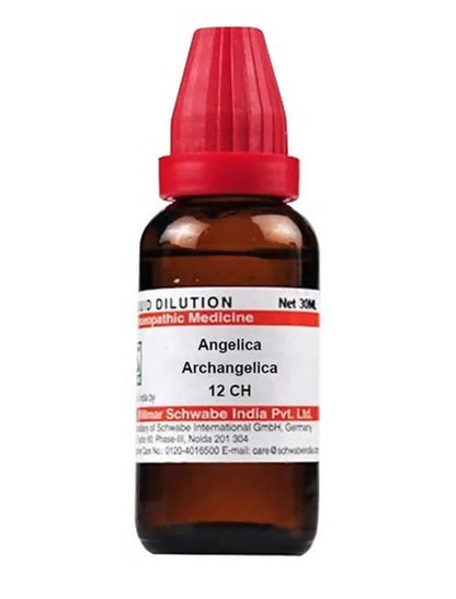 https://cdn.shopify.com/s/files/1/1857/6931/products/iiqmnjuV70.jpg?v=1640930294