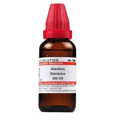 https://cdn.shopify.com/s/files/1/1857/6931/products/ijnBptOs0P.jpg?v=1641370503