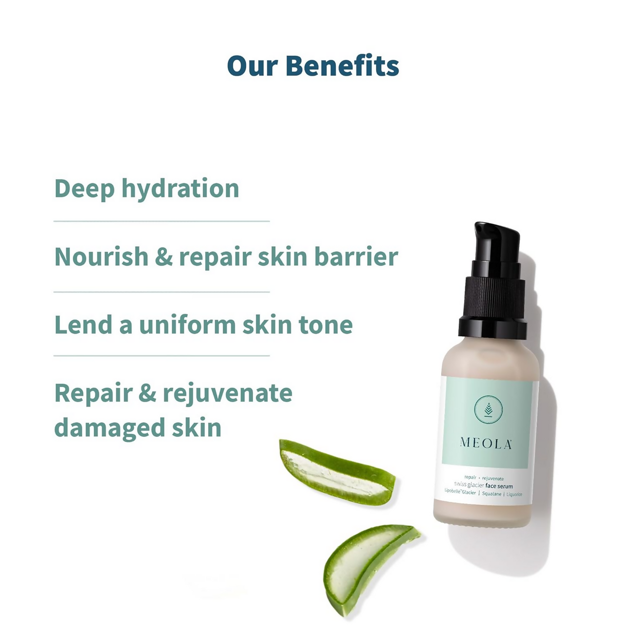 https://cdn.shopify.com/s/files/1/1857/6931/files/ilCu1ZJFXp.png?v=1728474196