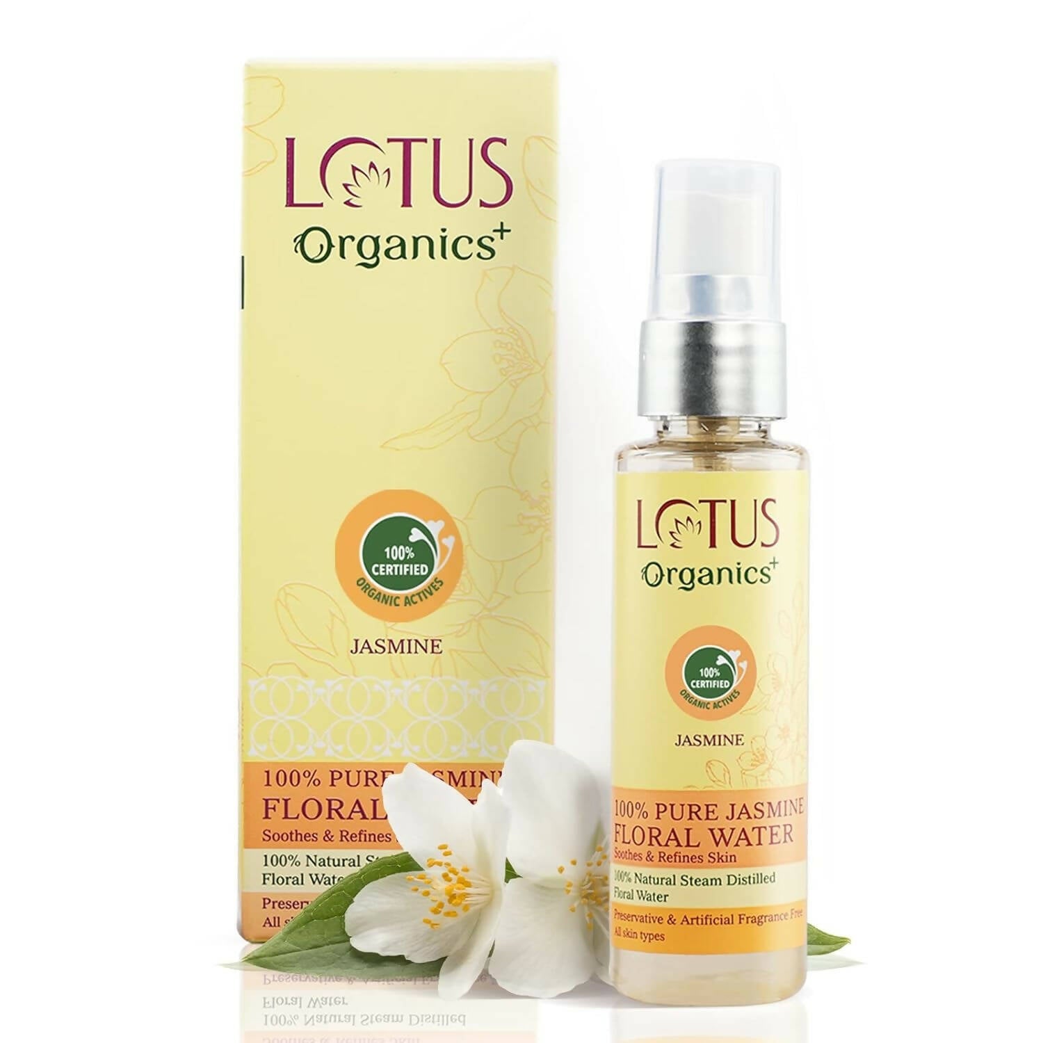 https://cdn.shopify.com/s/files/1/1857/6931/products/ilMrHgX3KS.jpg?v=1697116789
