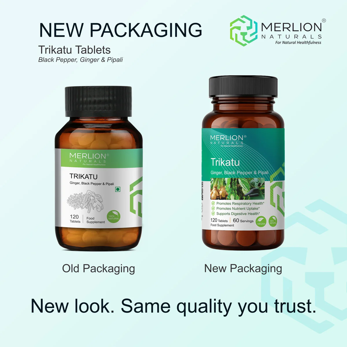 https://cdn.shopify.com/s/files/1/1857/6931/files/image_-_2025-10-06T161844.077.png?v=1759747775