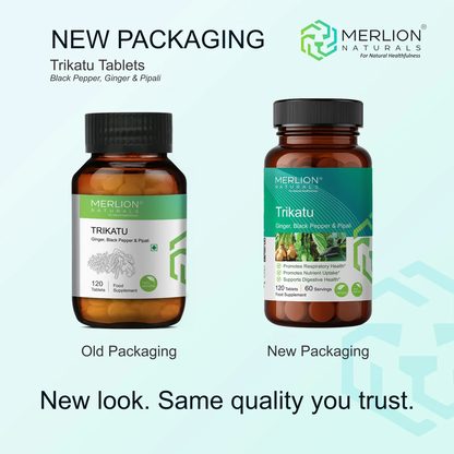https://cdn.shopify.com/s/files/1/1857/6931/files/image_-_2025-10-06T161844.077.png?v=1759747775