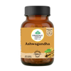 https://cdn.shopify.com/s/files/1/1857/6931/files/image_14_-Photoroom.png?v=1773032782