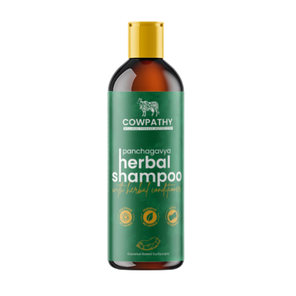 https://cdn.shopify.com/s/files/1/1857/6931/products/image_14.png?v=1649314401