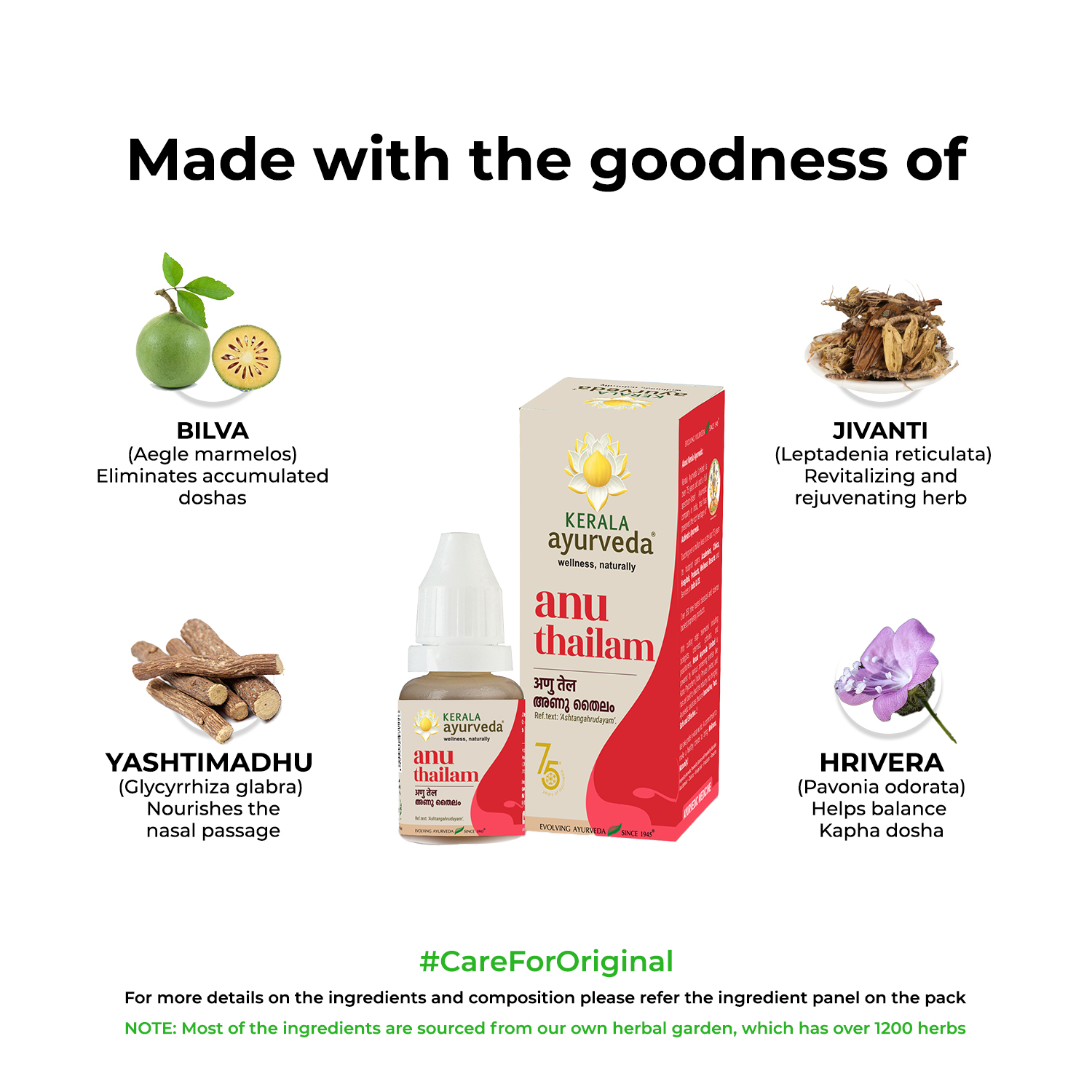 https://cdn.shopify.com/s/files/1/1857/6931/products/image_57.png?v=1709281667