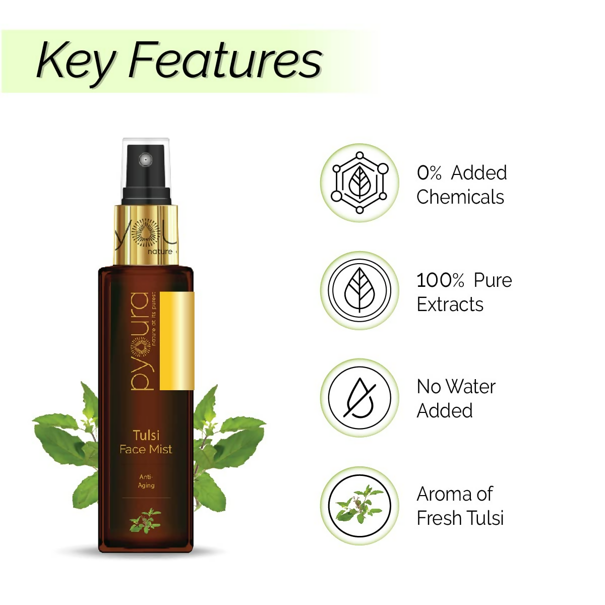 https://cdn.shopify.com/s/files/1/1857/6931/files/inJcNLTtjH.png?v=1731318271