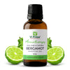 https://cdn.shopify.com/s/files/1/1857/6931/products/incmiPyfl2.jpg?v=1762382403