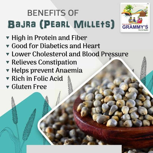 https://cdn.shopify.com/s/files/1/1857/6931/products/indian-pearl-millet-500x500.jpg?v=1630319529