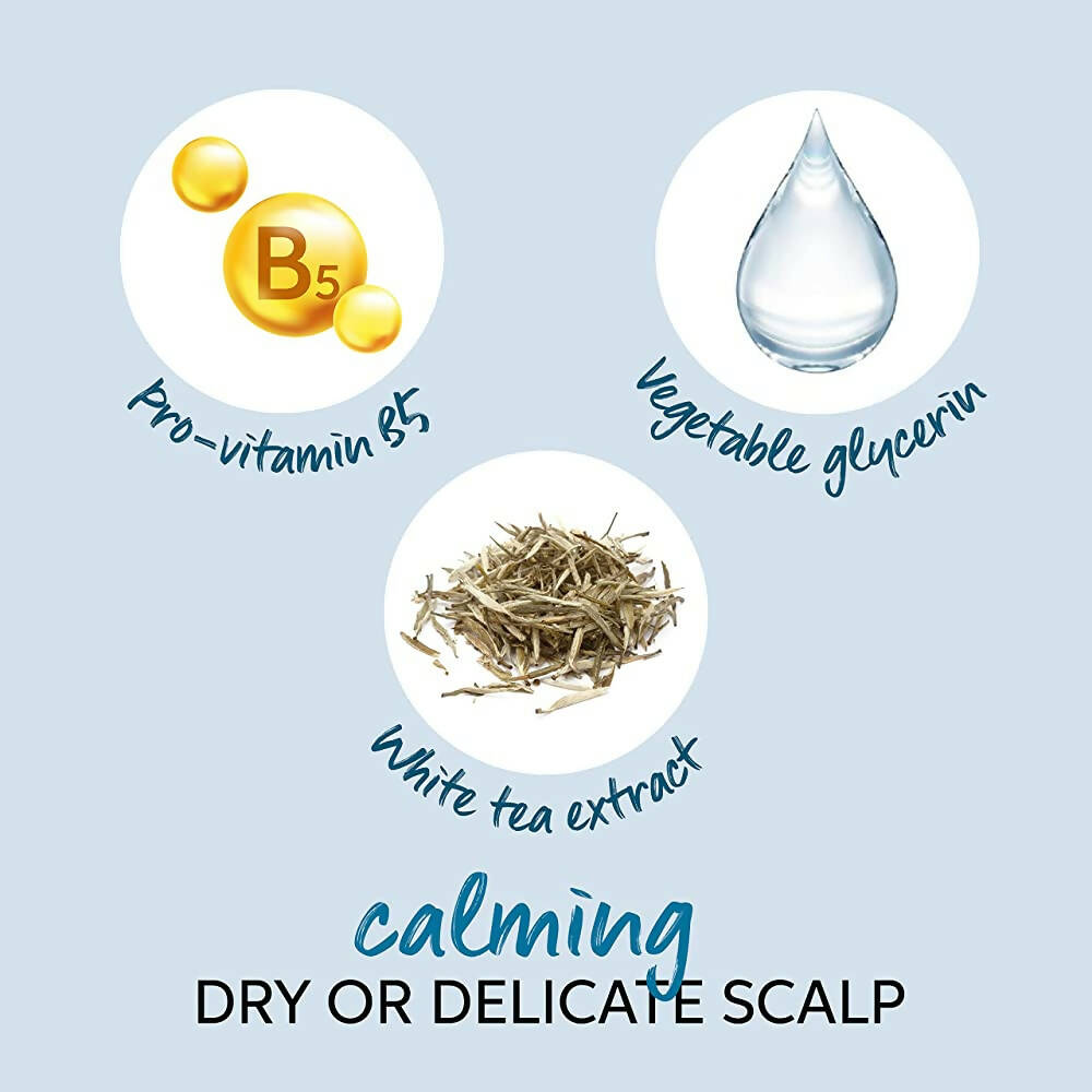 https://cdn.shopify.com/s/files/1/1857/6931/products/itCrQWVpL1.jpg?v=1685096424
