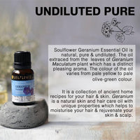 https://cdn.shopify.com/s/files/1/1857/6931/products/itWsklsHhb.jpg?v=1614911238