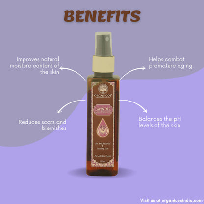 https://cdn.shopify.com/s/files/1/1857/6931/products/iw4GuK0aBa.jpg?v=1663668565