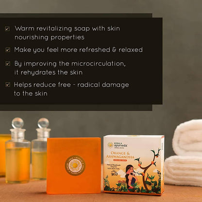 https://cdn.shopify.com/s/files/1/1857/6931/products/izcTQwoEbE.jpg?v=1638179812