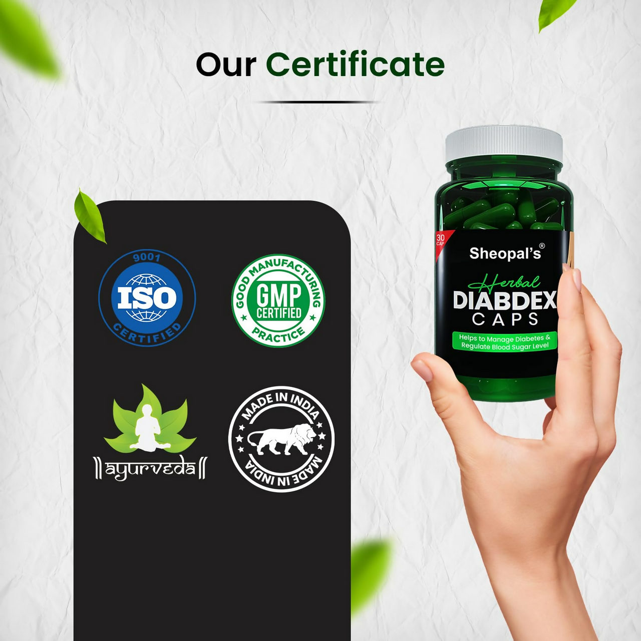 https://cdn.shopify.com/s/files/1/1857/6931/files/izs4mK0mQz.png?v=1725514001