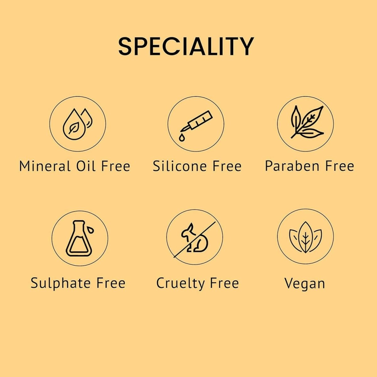 https://cdn.shopify.com/s/files/1/1857/6931/files/j3dw7gWZa1-408137.jpg?v=1736146744