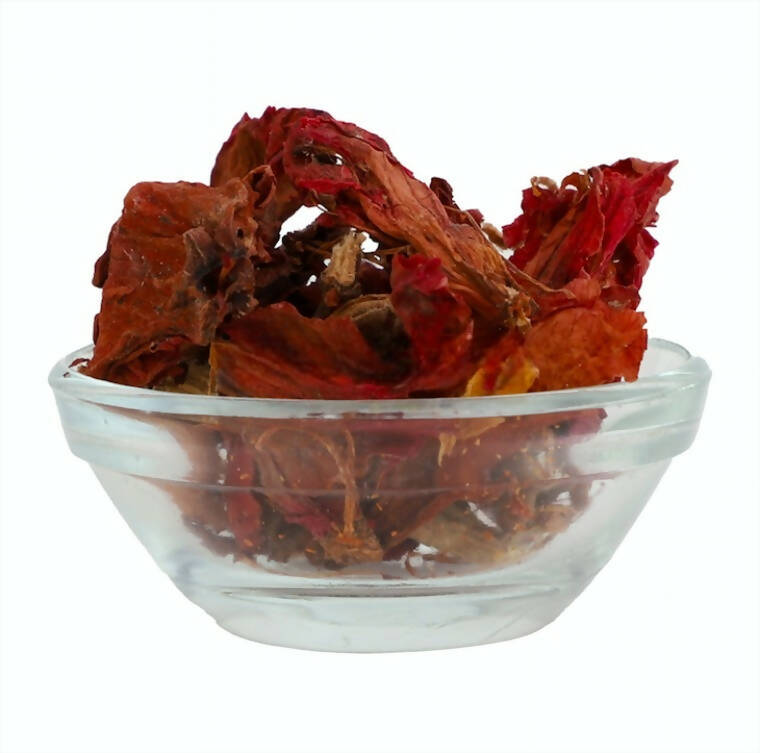https://cdn.shopify.com/s/files/1/1857/6931/products/j3tiNESvEn.jpg?v=1705731917