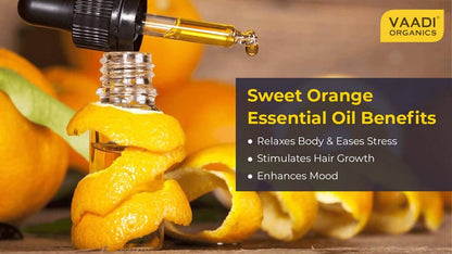 https://cdn.shopify.com/s/files/1/1857/6931/products/j6jf2dsrR5.jpg?v=1618540031