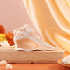 https://cdn.shopify.com/s/files/1/1857/6931/files/j9APdUP2zG.jpg?v=1779780096