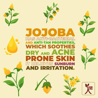 https://cdn.shopify.com/s/files/1/1857/6931/products/jCh5iPUTmE.jpg?v=1666442281