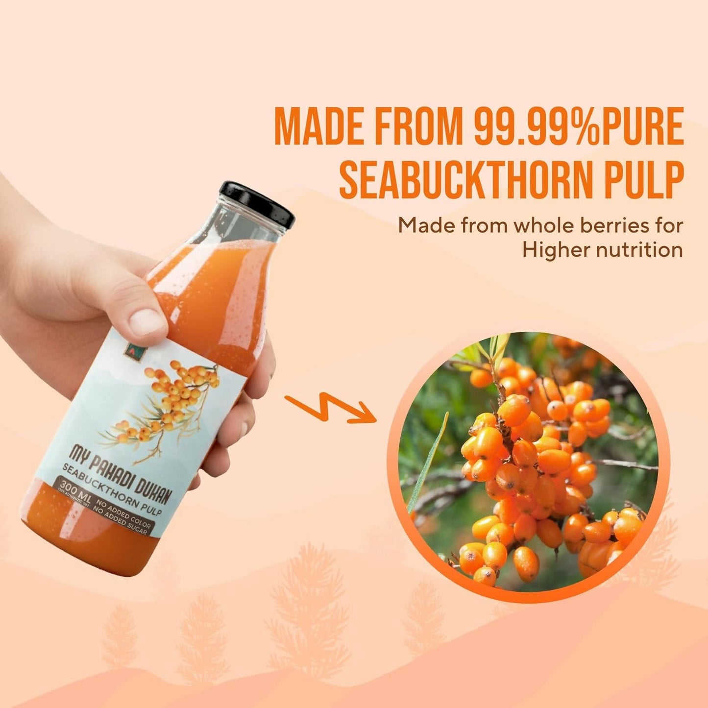 https://cdn.shopify.com/s/files/1/1857/6931/files/jDQ1cnCfW2.jpg?v=1770095139