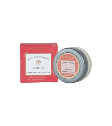 https://cdn.shopify.com/s/files/1/1857/6931/products/jGzX1l5XE3.png?v=1762392874