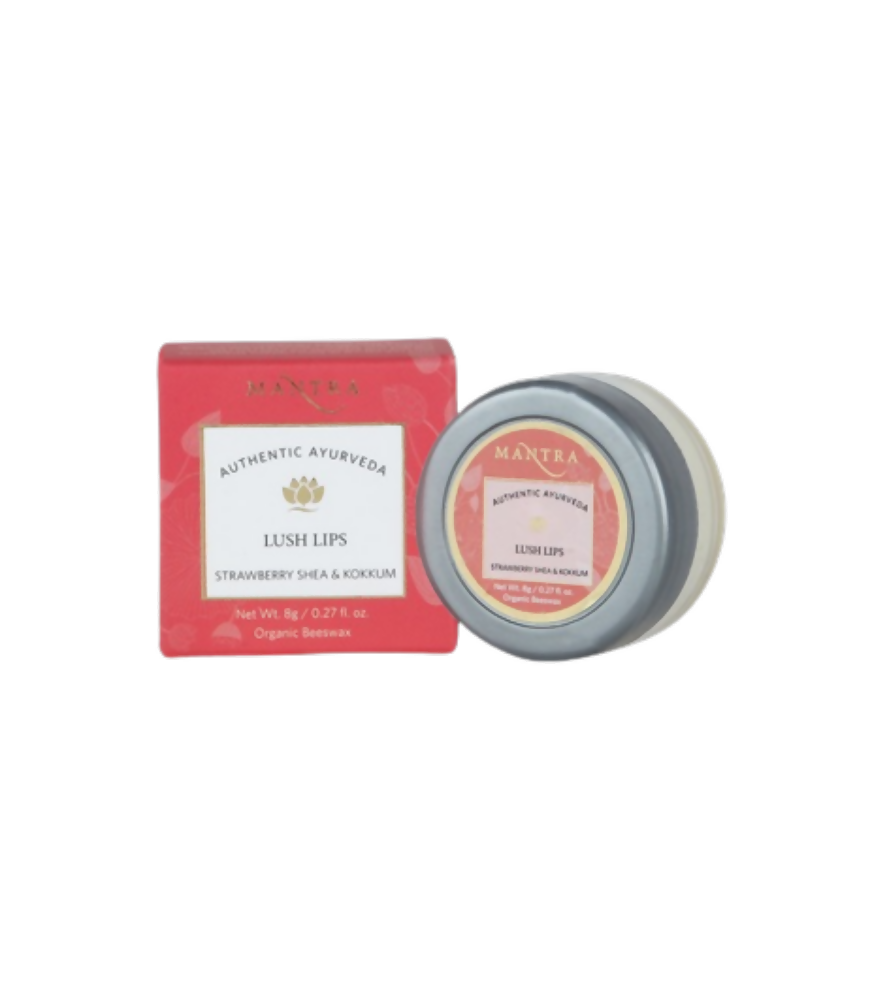 https://cdn.shopify.com/s/files/1/1857/6931/products/jGzX1l5XE3.png?v=1762392874