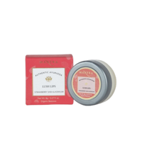 https://cdn.shopify.com/s/files/1/1857/6931/products/jGzX1l5XE3.png?v=1762392874