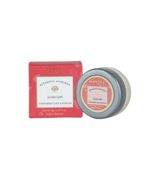 https://cdn.shopify.com/s/files/1/1857/6931/products/jGzX1l5XE3.png?v=1762392874