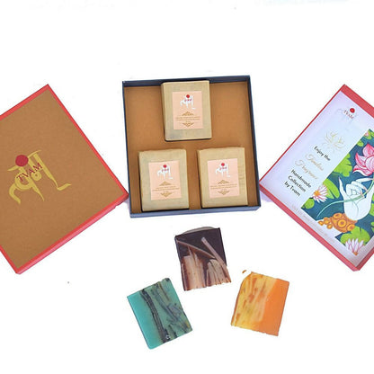 https://cdn.shopify.com/s/files/1/1857/6931/products/jIBSVbmnmr.jpg?v=1710331992
