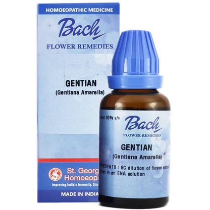 https://cdn.shopify.com/s/files/1/1857/6931/products/jIsNXxdbYA.jpg?v=1647422723