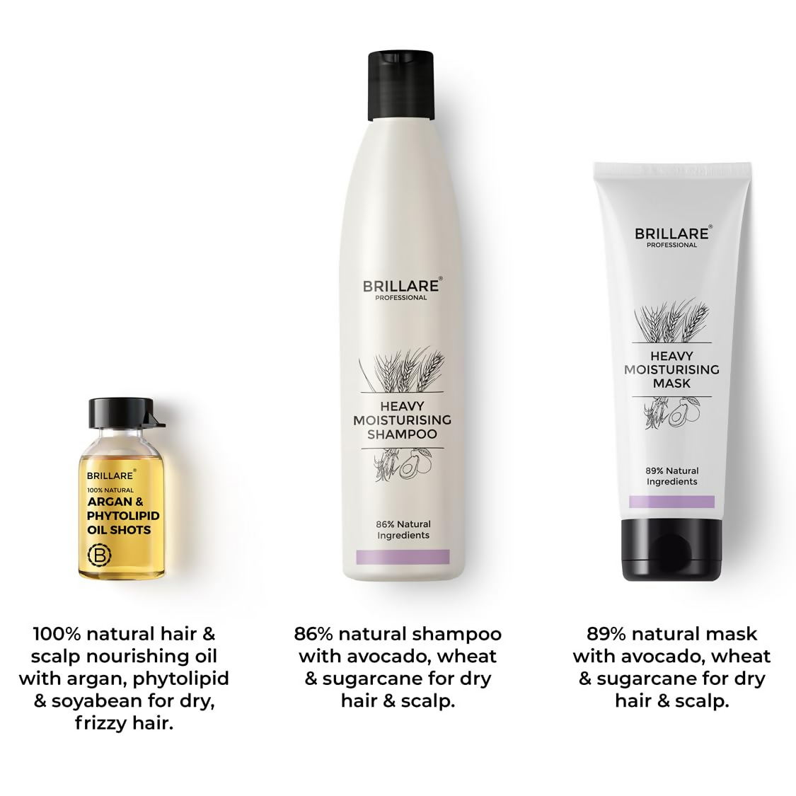 https://cdn.shopify.com/s/files/1/1857/6931/files/jItoK90MJq.png?v=1727775509