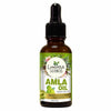 https://cdn.shopify.com/s/files/1/1857/6931/products/jMSClkkBDb.jpg?v=1759272765
