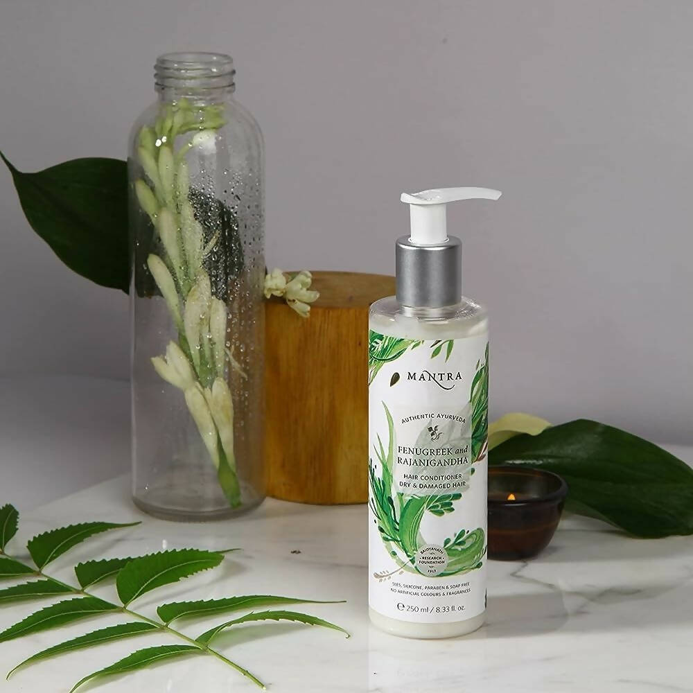 https://cdn.shopify.com/s/files/1/1857/6931/products/jNbH5zY6Vu.jpg?v=1691151254