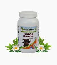 https://cdn.shopify.com/s/files/1/1857/6931/products/jQHSvxf7ir.jpg?v=1762350601