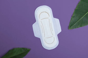 https://cdn.shopify.com/s/files/1/1857/6931/products/jQWe24K99L.jpg?v=1762295483