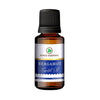 https://cdn.shopify.com/s/files/1/1857/6931/products/jRIjLi55ab.jpg?v=1762343839