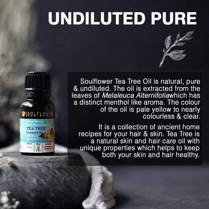 https://cdn.shopify.com/s/files/1/1857/6931/products/jTXdinM1Mu.jpg?v=1626165143