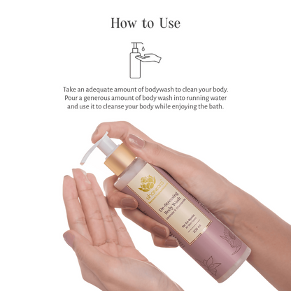 https://cdn.shopify.com/s/files/1/1857/6931/files/jUZQSFPnOf.png?v=1724414165