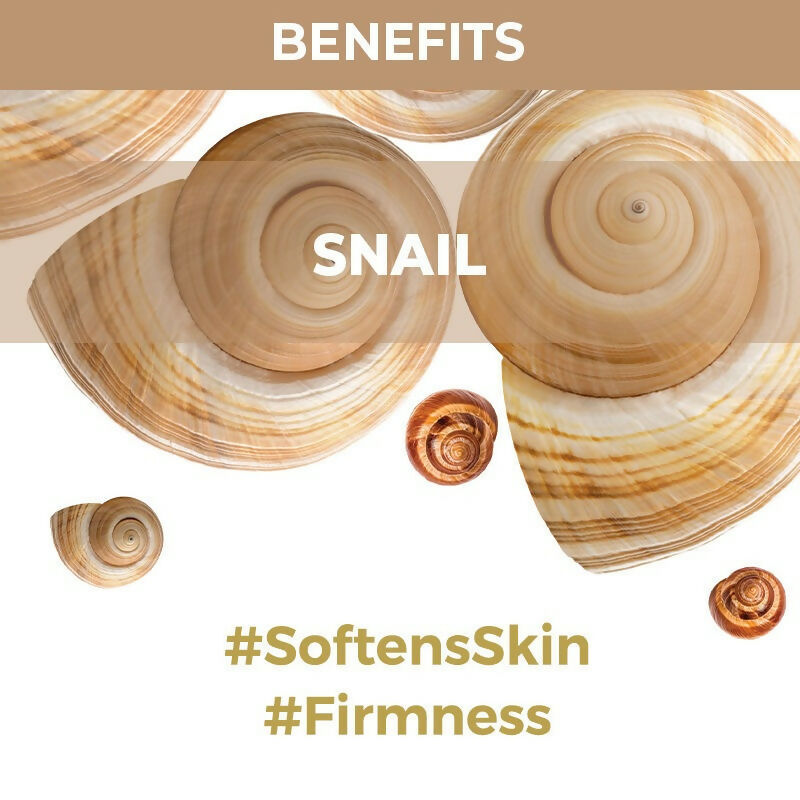 https://cdn.shopify.com/s/files/1/1857/6931/files/jUjfyFphHr.jpg?v=1713266035
