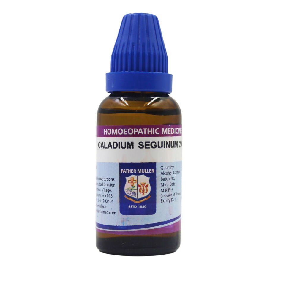 https://cdn.shopify.com/s/files/1/1857/6931/files/jW8WWFGx6E.jpg?v=1719036035