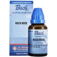 https://cdn.shopify.com/s/files/1/1857/6931/products/jZ3TCPGiFp.jpg?v=1644821821