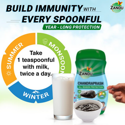 https://cdn.shopify.com/s/files/1/1857/6931/products/jZru3XHFC3.png?v=1700718910