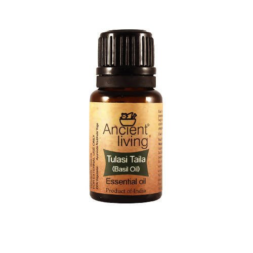 https://cdn.shopify.com/s/files/1/1857/6931/files/jbdHGq9TxI-947955.jpg?v=1736147460