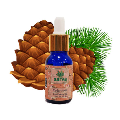 https://cdn.shopify.com/s/files/1/1857/6931/products/jd4WQnuGg5.jpg?v=1670671251