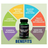 https://cdn.shopify.com/s/files/1/1857/6931/products/jdHCqg4pQ6.jpg?v=1663331173