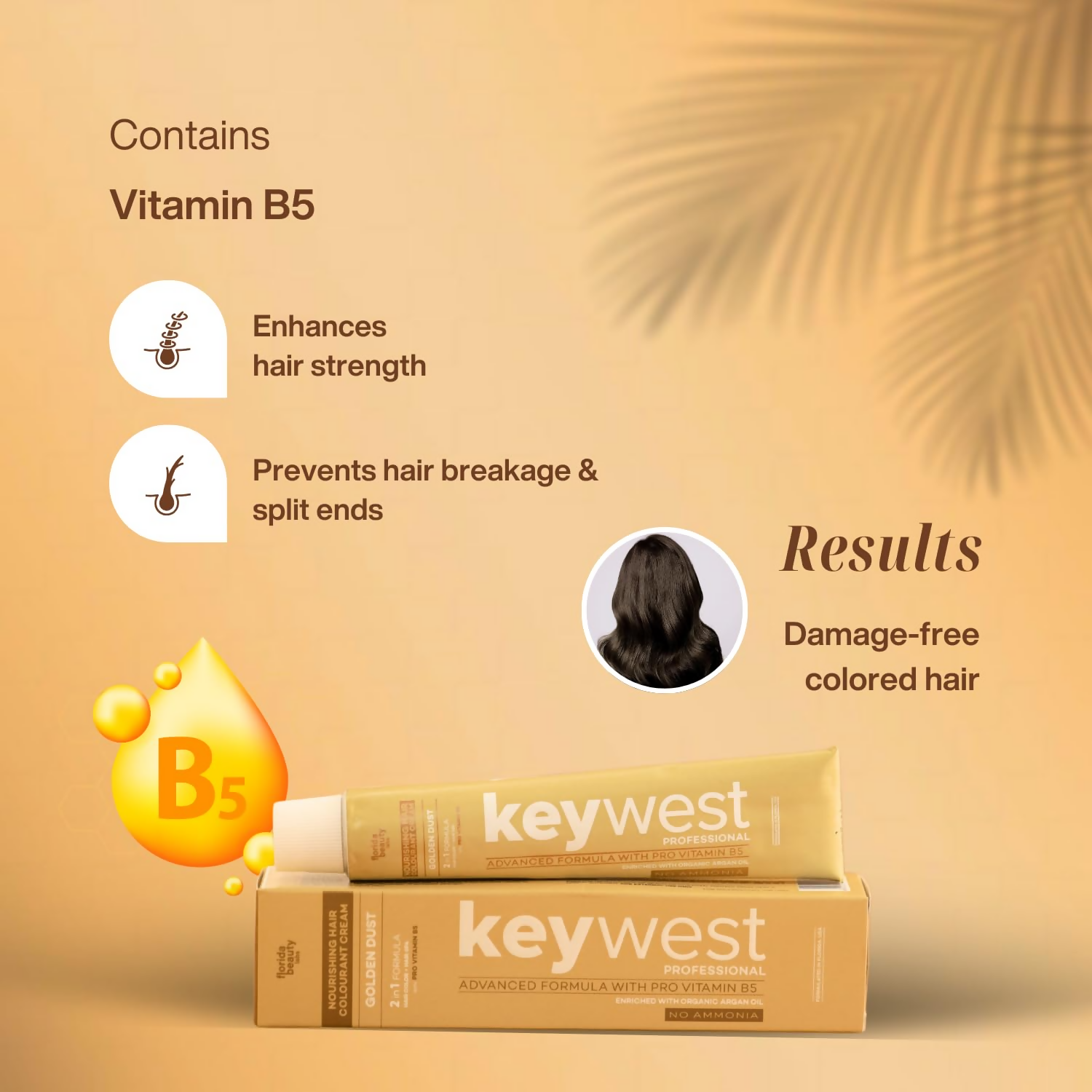 https://cdn.shopify.com/s/files/1/1857/6931/files/jfxcmTfRzo.png?v=1728988995