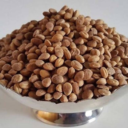 https://cdn.shopify.com/s/files/1/1857/6931/products/jgNJDda6yq.jpg?v=1639393486
