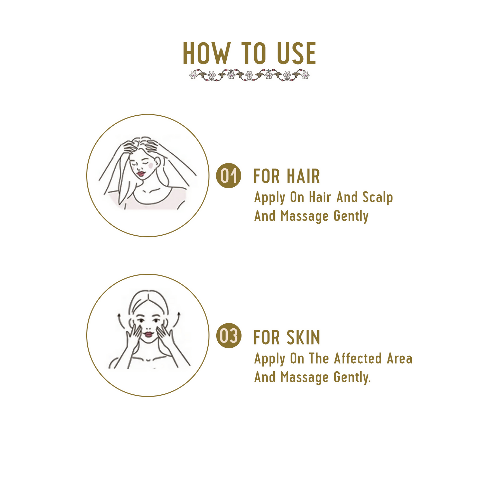 https://cdn.shopify.com/s/files/1/1857/6931/files/jjB4Jn51Ig-105878.png?v=1736150409