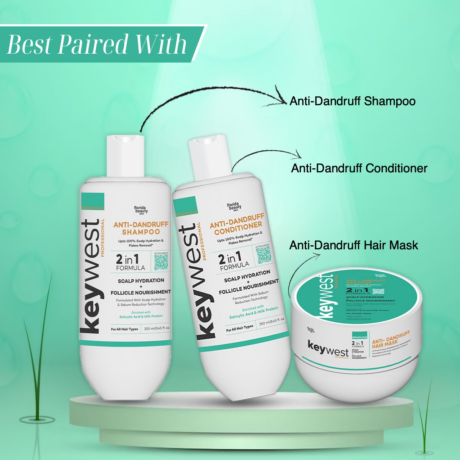 https://cdn.shopify.com/s/files/1/1857/6931/files/jkJQmFK0YB.png?v=1728989486